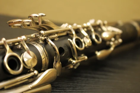 Clarinet lessons for beginners